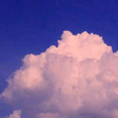 米博体育官方网站入口下载截图